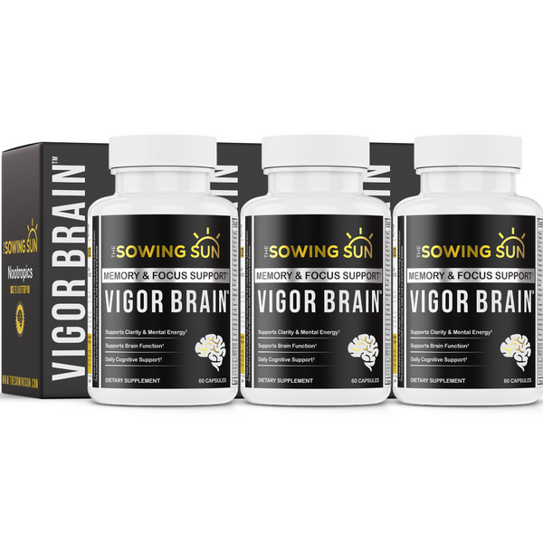 Vigor Brain - 3 Pack