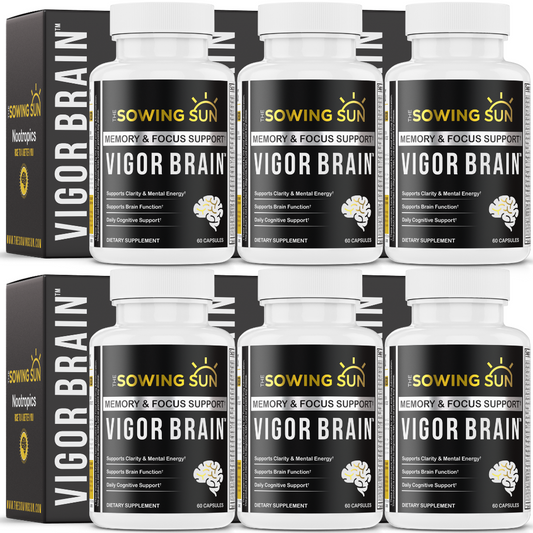 Vigor Brain - 6 Pack