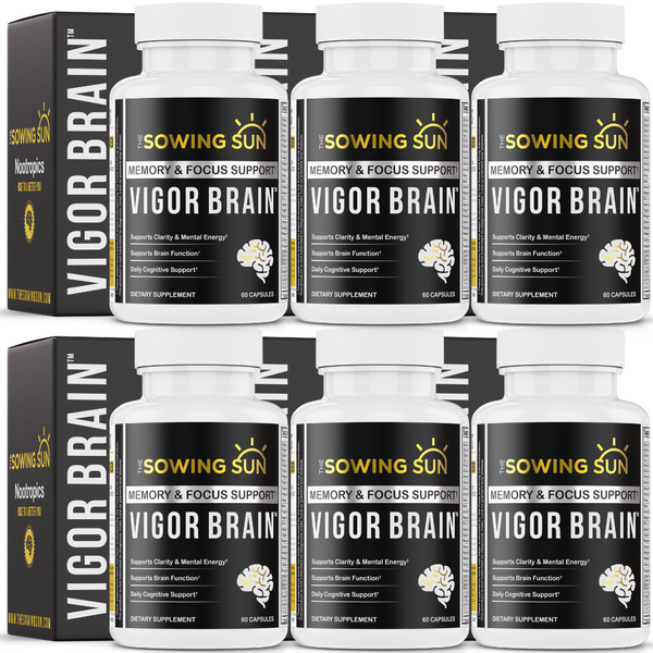 Vigor Brain - 6 Pack